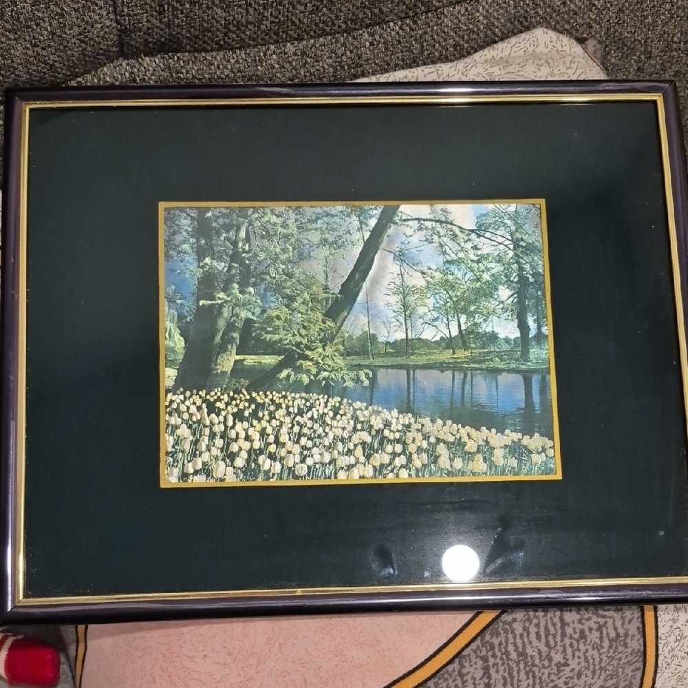 Framed Landscape Art Shiny